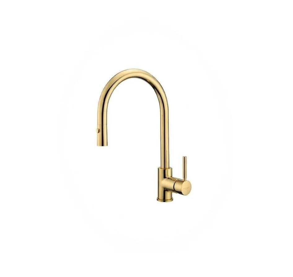 [23176GI] Mix lavapjate d.estraibile Forma ottone lucido