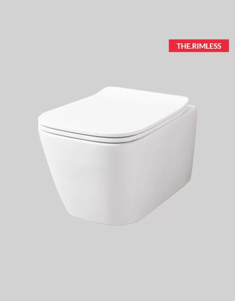 [ASV003.01;00] A16 wc sospeso rimless (Bardhe)