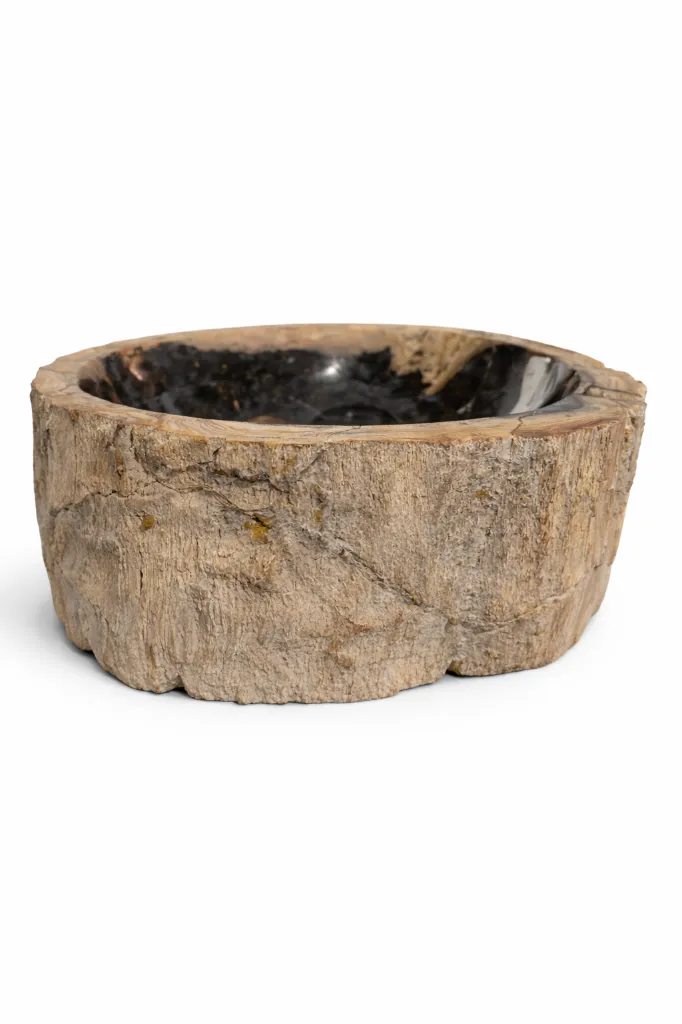 Lavamane - Petrified Wood 2